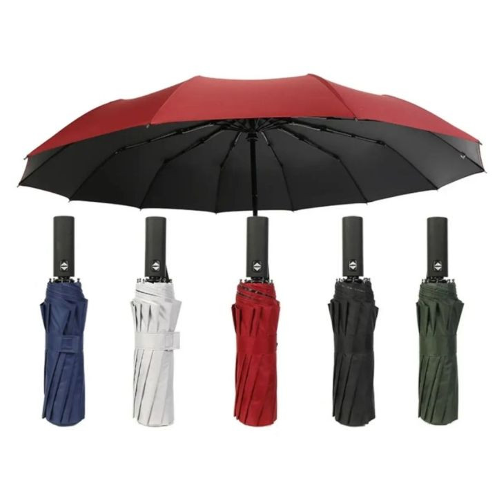 BMW 12 Sticks Auto Open And Auto Close Super Strong Umbrella